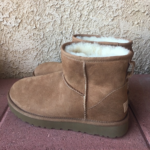 UGG Shoes - Classic ugg short  boot
